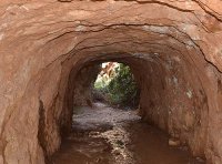 打击“洗洞”盗采金矿专项整治行动工作方案（自然资发〔2022〕61号）