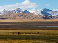 林草部门取消的行政许可事项及事中事后监管措施（国家林草局公告2022年第7号）