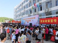 关于加强人力资源服务助力制造业高质量发展的意见（人社部发〔2024〕86号）