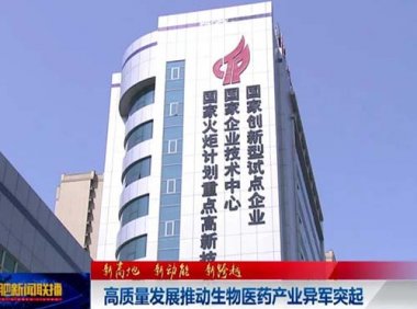 国家技术创新示范企业评价指标及申报书编写提纲