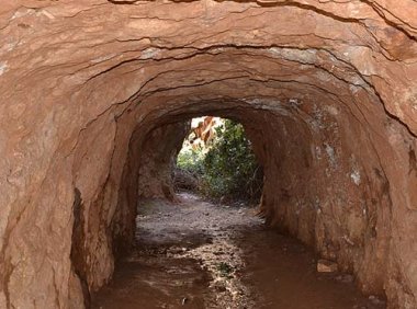 打击“洗洞”盗采金矿专项整治行动工作方案（自然资发〔2022〕61号）