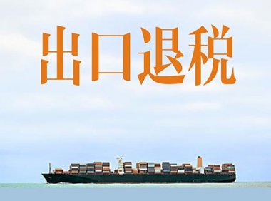 税务总局等十部门 关于进一步加大出口退税支持力度 促进外贸平稳发展