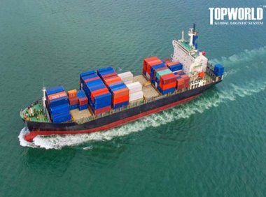 货物自动进口许可事项服务指南（2021年修订版）