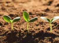 《中华人民共和国土壤污染防治法》2019年1月1日起施行