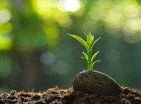 《土壤污染防治资金管理办法》财资环〔2022〕28号