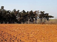 《中华人民共和国土地管理法》2019年修订版