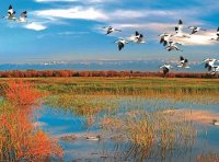 《中华人民共和国湿地保护法》自2022年6月1日起施行