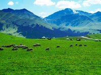 《中华人民共和国草原法》2021年修订版