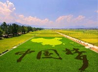 农业农村部 财政部关于做好2022年农业生产发展等项目实施工作的通知(农计财发〔2022〕13号)