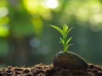 《关于加强土壤污染防治项目管理的通知》环办土壤〔2020〕23号