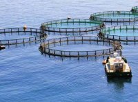 《关于加强海水养殖生态环境监管的意见》环海洋〔2022〕3号