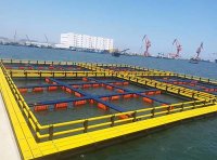 《关于加快推进水产养殖业绿色发展的若干意见》农渔发〔2019〕1号