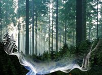 国家林业和草原局 关于进一步加强森林草原防火物资储备管理工作的通知（林防发〔2022〕49号）