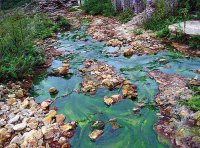 《关于进一步加强重金属污染防控的意见》环固体〔2022〕17号