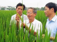 广东省农业技术推广奖励试行办法实施细则(粤农推奖〔2020〕1号)