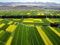 农业生产发展资金项目实施方案