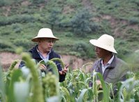 《农业转基因生物安全管理条例》2017年修订