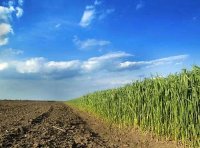 《农用地土壤环境管理办法（试行）》环境保护部 农业部令 第46号