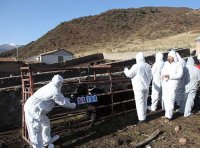 动物防疫等补助经费项目实施方案