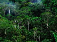 《森林防火条例》中华人民共和国国务院令 第541号