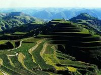 《退耕还林条例》2016年修订