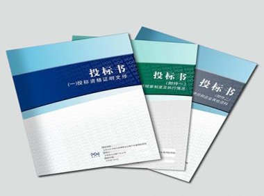 关于进一步加大政府采购支持中小企业力度的通知（财库〔2022〕19号）