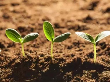 《中华人民共和国土壤污染防治法》2019年1月1日起施行