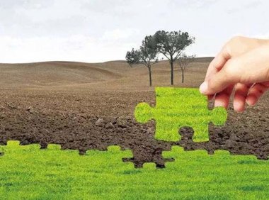 《土壤污染防治基金管理办法》财资环〔2020〕2号