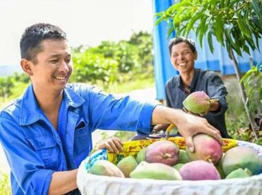 《中华人民共和国农民专业合作社法》2017年修订版