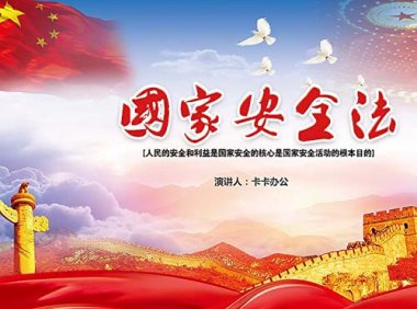 《中华人民共和国国家安全法》中华人民共和国主席令 第29号