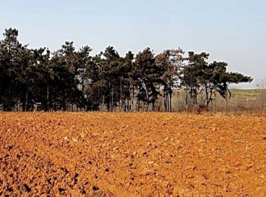 《中华人民共和国土地管理法》2019年修订版