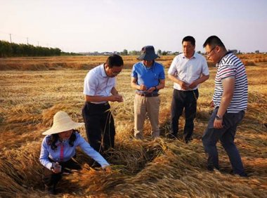 《中央财政农业保险保费补贴管理办法》财金〔2021〕130号