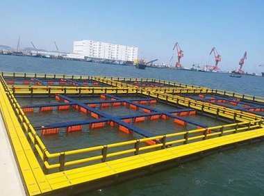 《关于加快推进水产养殖业绿色发展的若干意见》农渔发〔2019〕1号