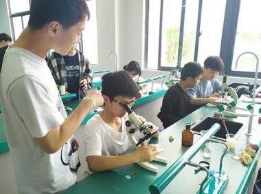 《关于深化实验技术人才职称制度改革的指导意见》人社部发〔2021〕62号