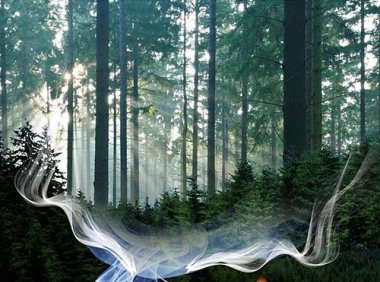 国家林业和草原局 关于进一步加强森林草原防火物资储备管理工作的通知（林防发〔2022〕49号）