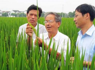 广东省农业技术推广奖励试行办法实施细则（粤农推奖〔2020〕1号）