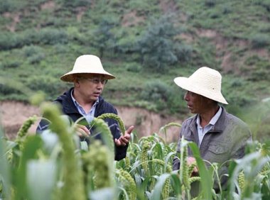 《农业转基因生物安全管理条例》2017年修订