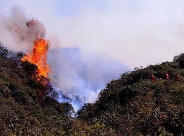 《国家林业和草原局森林草原防火约谈暂行办法》林防发〔2022〕23号