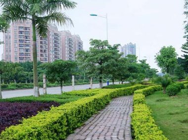 《城市绿化条例》2017年修订