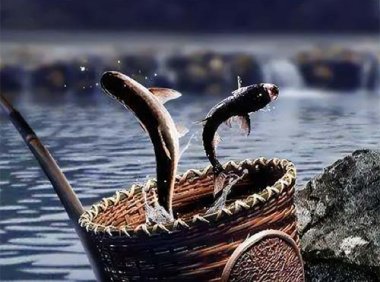 《中华人民共和国渔业法》2013年修正版