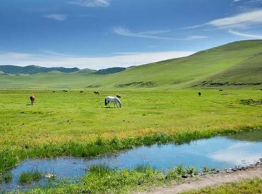 《草原防火条例》中华人民共和国国务院令 第542号