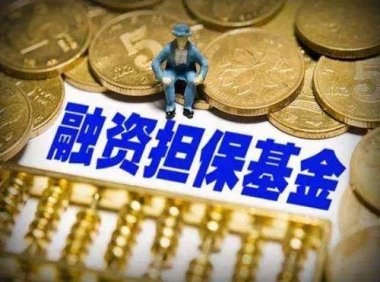 《融资担保公司监督管理条例》国令 第683号