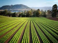 《中华人民共和国耕地占用税法》主席令 第18号