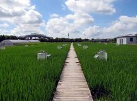 《中华人民共和国耕地占用税法实施办法》财政部公告2019年 第81号