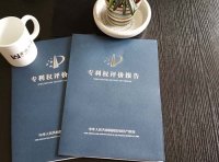 《关于加入《海牙协定》后相关业务处理暂行办法》国家知识产权局公告 第481号