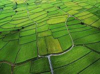 《土地调查条例》国务院令第518号