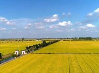 《基本农田保护条例》2011年修订