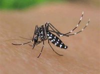 《外来入侵物种管理办法》农业农村部令〔2022〕第4号