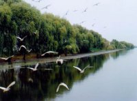 《淮河流域水污染防治暂行条例》2011年修订