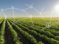 商务部等9部门关于推动农村电商高质量发展的实施意见(商流通函〔2024〕39号)